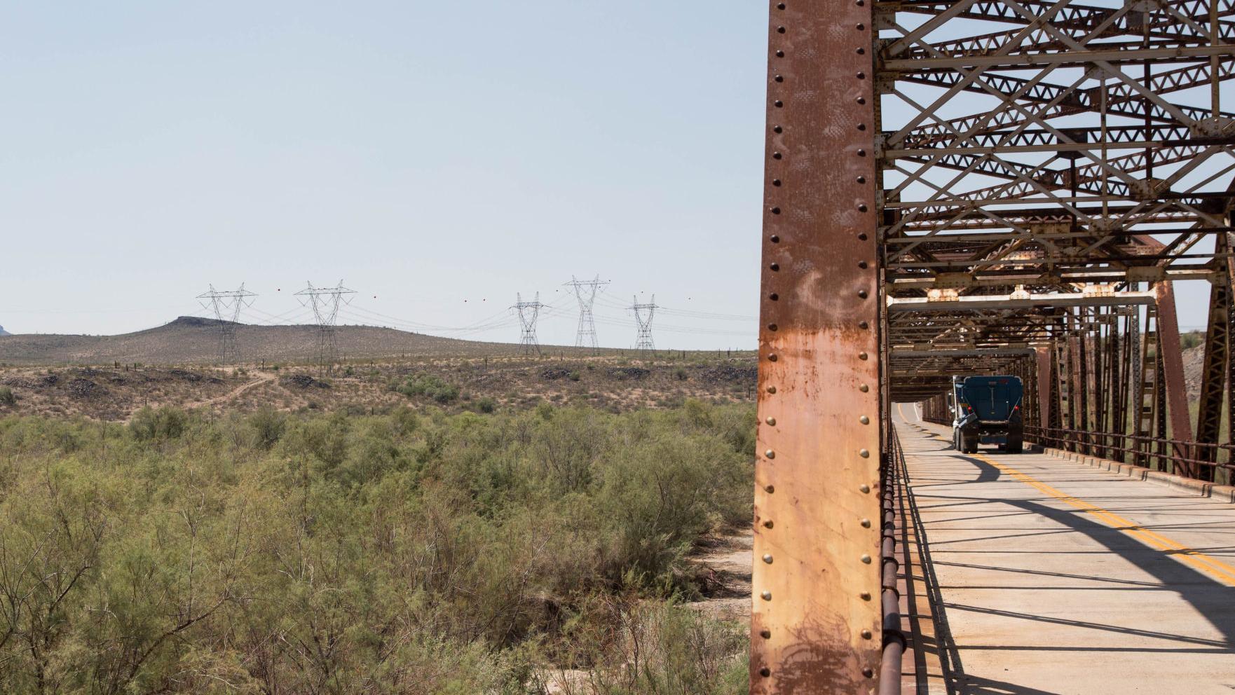Officials to cut salt cedar trees invading Gila River bed
